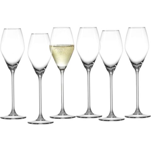 Salsa Champagneglas 200 ml Set van 6 Stuks