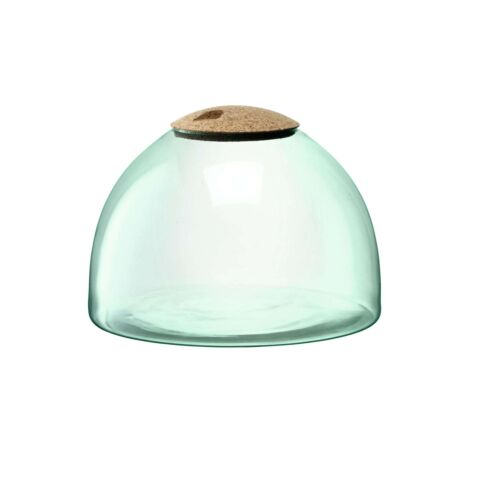 Canopy Planten Terrarium 22cm