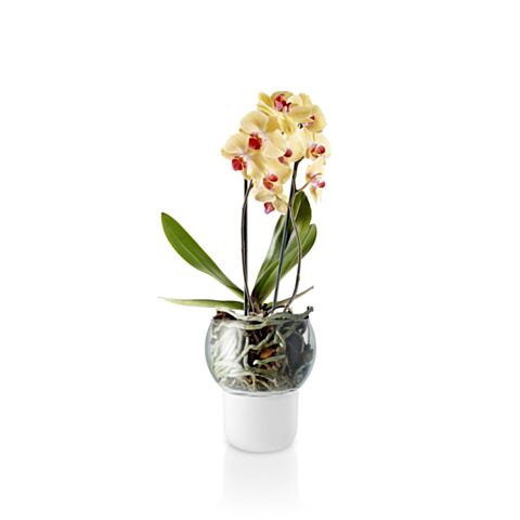 Bloempot met Bewateringssysteem Orchid Ø 15 cm