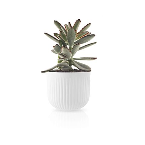 Legio Nova Bloempot Klein