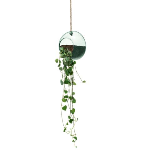 Canopy Plantenhanger &oslash; 12 cm