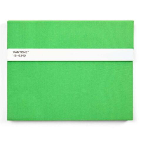 Notitieboek met Potlood - Green 2422
