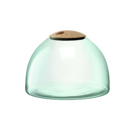 Canopy Planten Terrarium 22cm