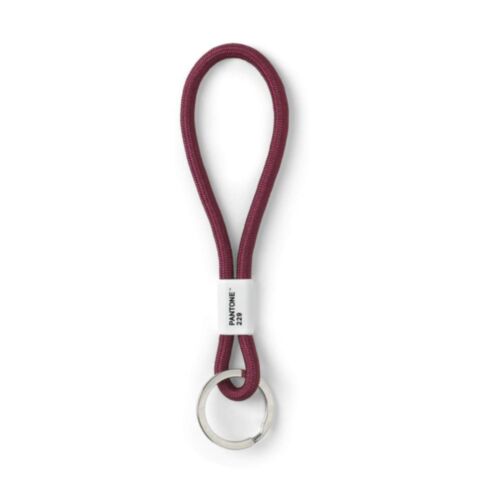 Sleutelhanger Klein - Aubergine 229